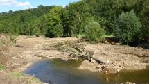 Wasserverband Obere Lippe und Dorfrat Ahden laden ein: Exkursion zur renaturierten Alme in Ahden am Samstag, 13. Juli